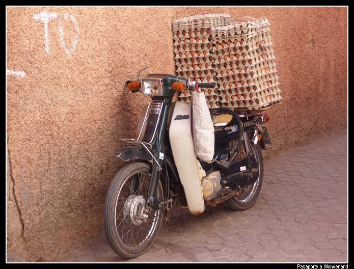 Zoco Marrakech